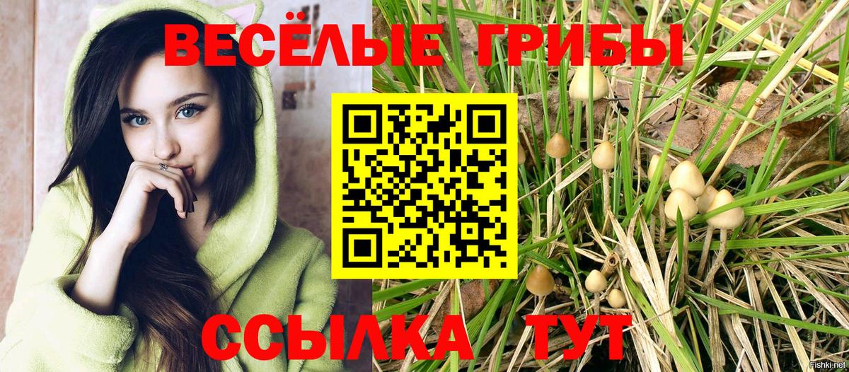 Псилоцибиновые грибы MAGIC MUSHROOMS  Галлюциногенные грибы мухоморы  Артём  Вход с VPN 